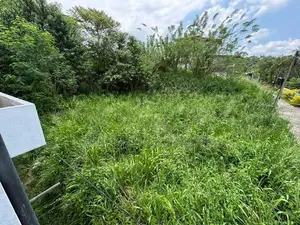Land for Sale in Paradise, Ratnapura