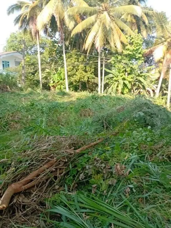 Land for Sale in Paradise, Ratnapura