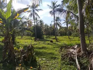 Narammala Ranawaththe Land Sale