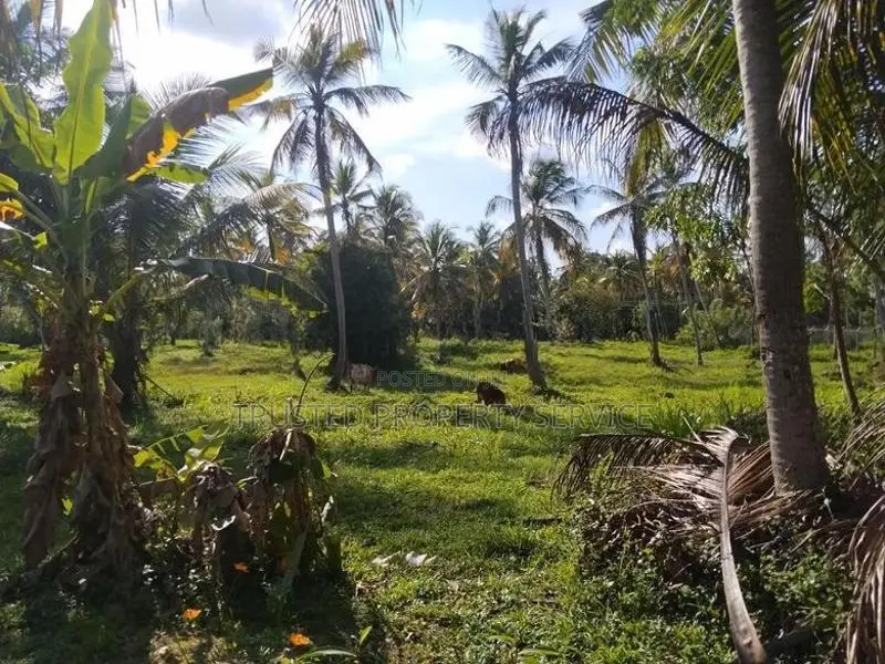 Narammala Ranawaththe Land Sale