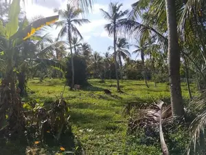 Narammala Ranawaththe Land Sale