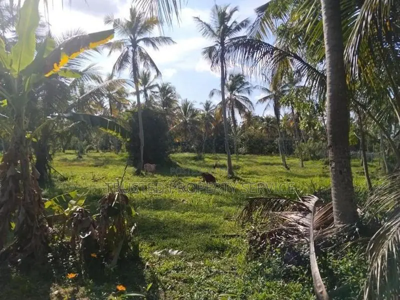 Narammala Ranawaththe Land Sale