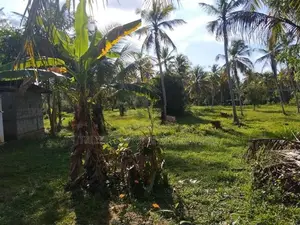 Narammala Ranawaththe Land Sale