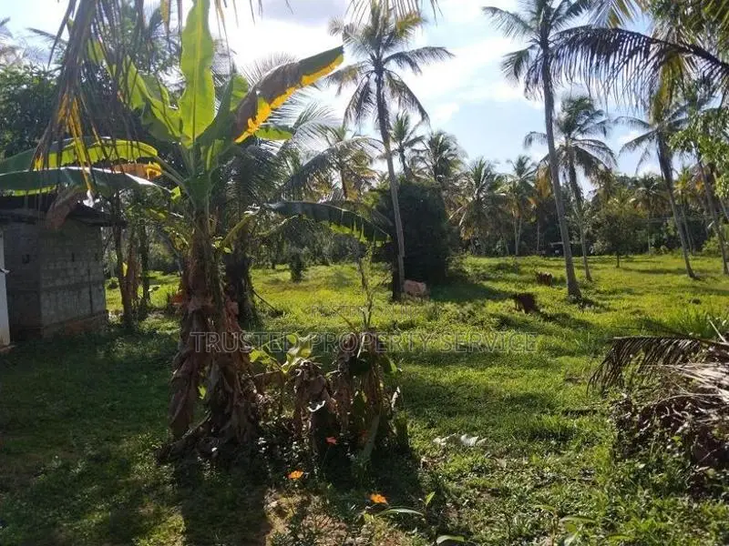 Narammala Ranawaththe Land Sale