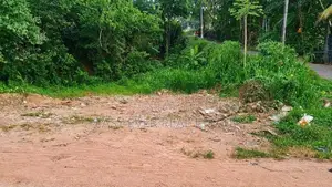 කඩවත – ඉහළ කරගහමුන ව්‍යාපාරික ඉඩමක් විකිණීමට