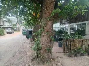 ඉඩමක් විකිනීමට තලවතුගොඩ