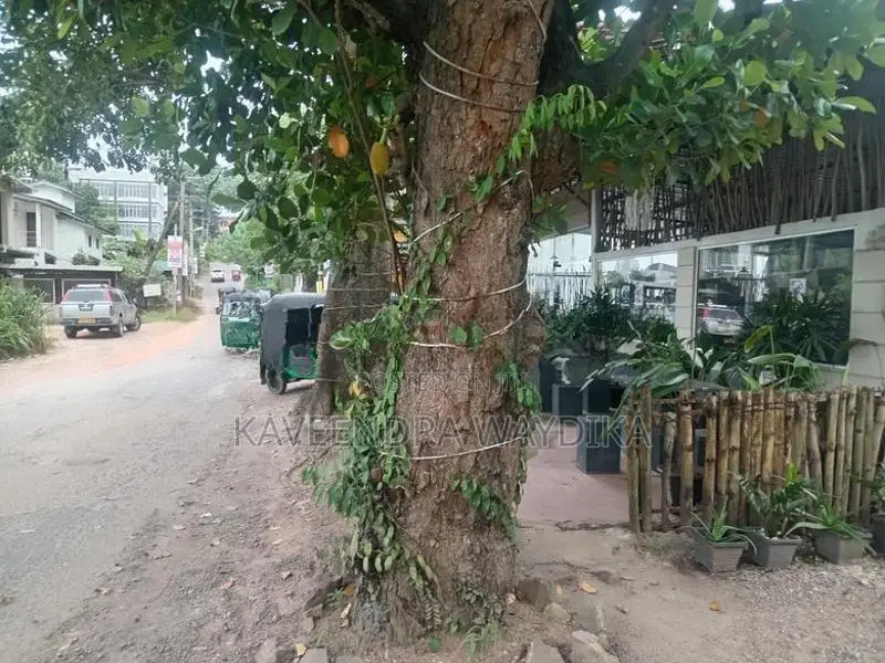 ඉඩමක් විකිනීමට තලවතුගොඩ