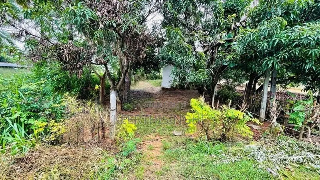 Land for Sale Galewela, Dambulla