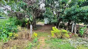 Land for Sale Galewela, Dambulla