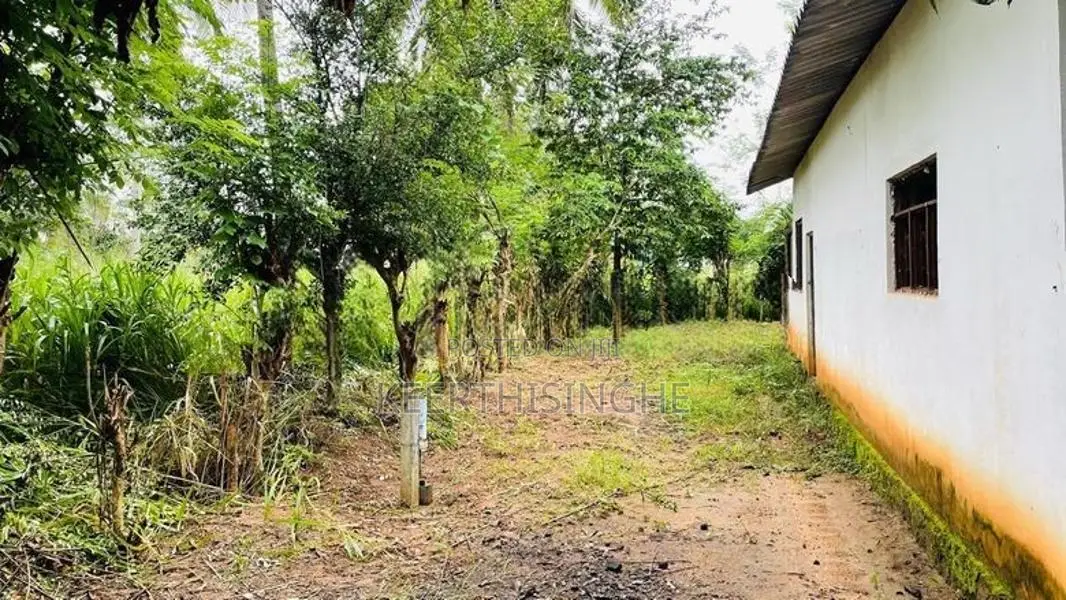 Land for Sale Galewela, Dambulla