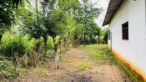 Land for Sale Galewela, Dambulla