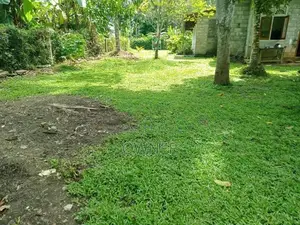 වටිනා ඉඩමක් විකිණීමට Niwandama