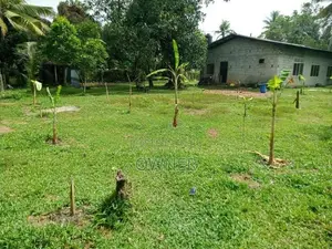 වටිනා ඉඩමක් විකිණීමට Niwandama