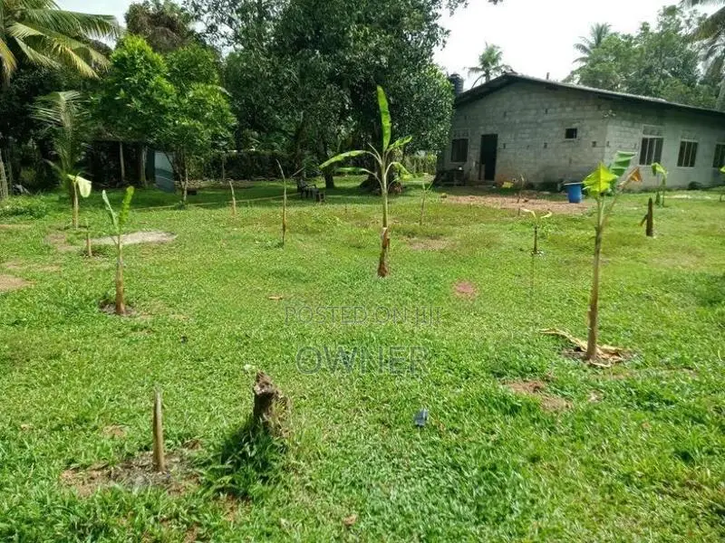 වටිනා ඉඩමක් විකිණීමට Niwandama
