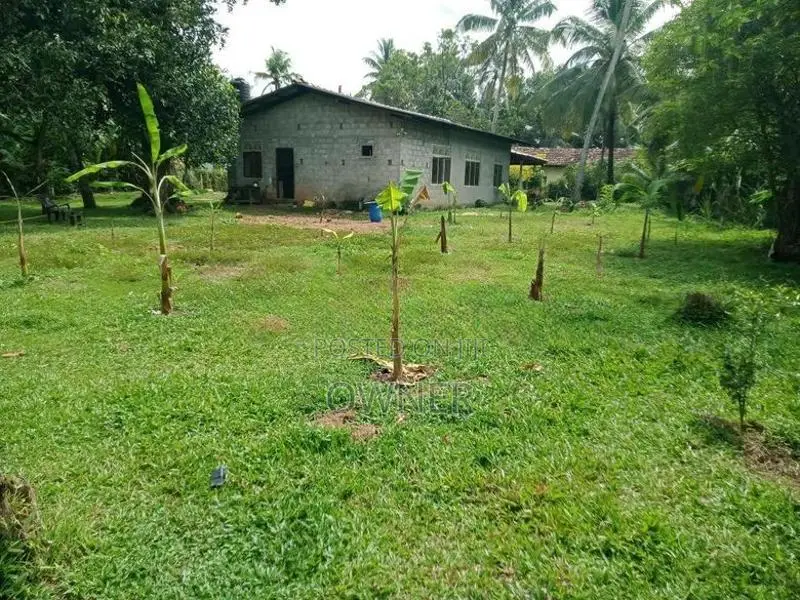 වටිනා ඉඩමක් විකිණීමට Niwandama