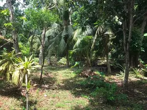 Weligama Land with House for Sale