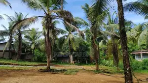 හංවැල්ල අගනා බිම් කොටස්