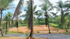 හංවැල්ල අගනා බිම් කොටස්
