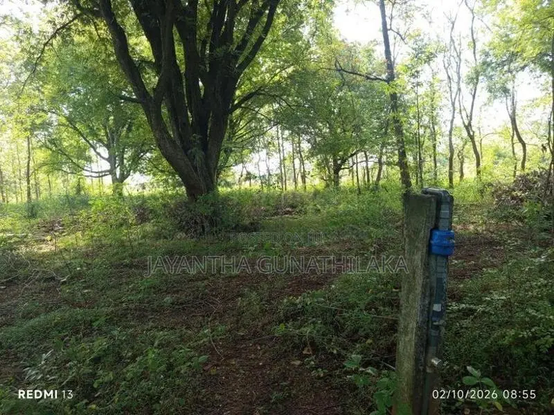 Land for Sale - Thanamalwila