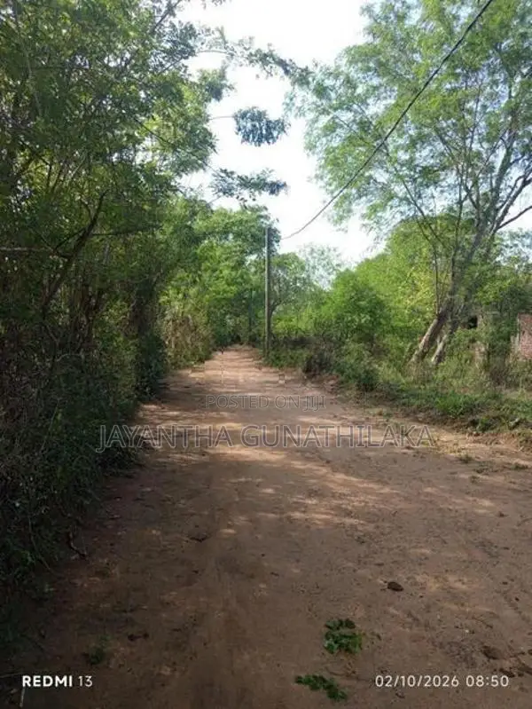 Land for Sale - Thanamalwila