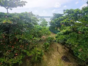Land for Sale – Bolgoda