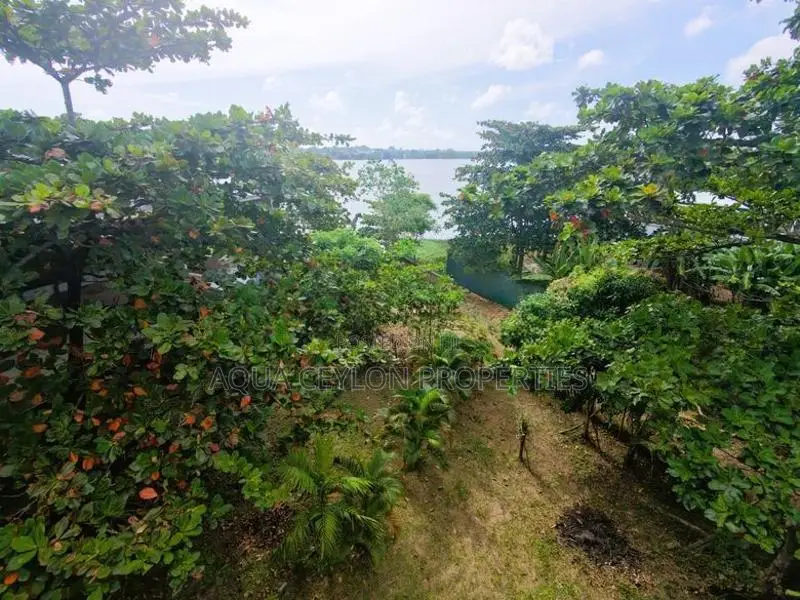 Land for Sale – Bolgoda