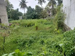 Solid Land for Sale Maharagama