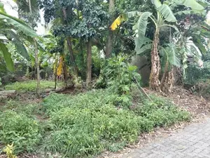 Land for Sale Boralesgamuwa