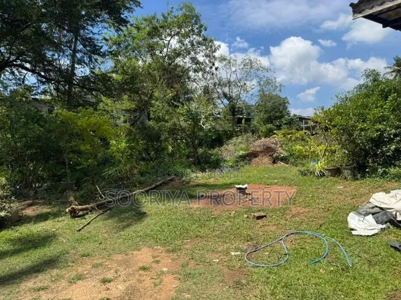 53 Perches Commercial / Residential Land for Sale in Piliyandala