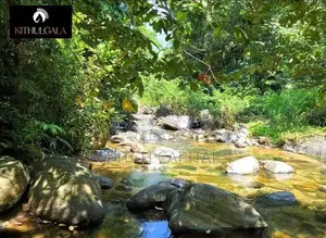 Land for Sale Facing the River in Kitulgala