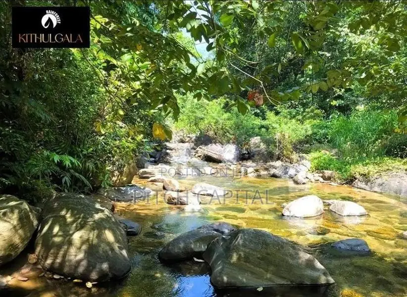 Land for Sale Facing the River in Kitulgala