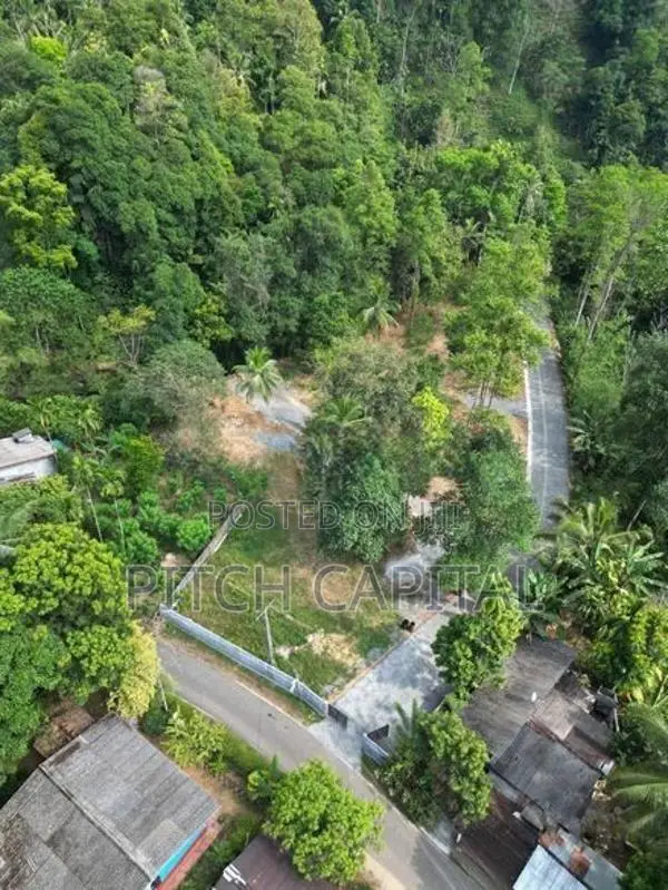 Land for Sale Facing the River in Kitulgala