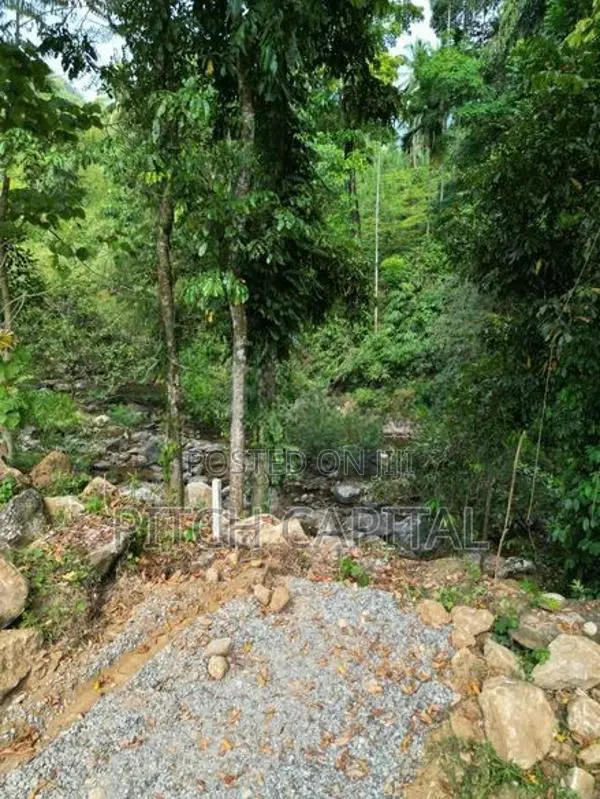 Land for Sale Facing the River in Kitulgala