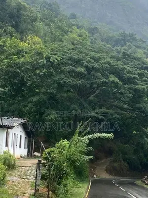 Land Sale - 7 Acres In Haputale