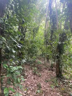 Land Sale - 7 Acres In Haputale