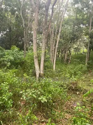 Land Sale - 7 Acres In Haputale