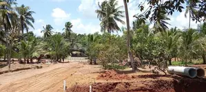 හික්කඩුව මාජුවානෙන් අගනා නේවාසික බිම් කොටස්