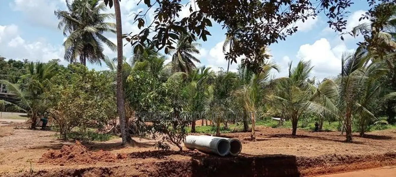 හික්කඩුව මාජුවානෙන් අගනා නේවාසික බිම් කොටස්