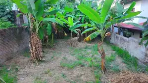 කඩවත ගෝනහේන පාරෙන් ඉඩම