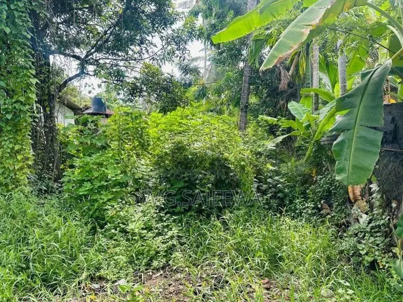 18.40 Perch Land for Sale Kurana, Negombo