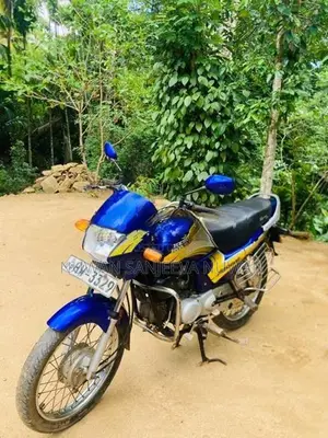 Hero Passion Plus 2005
