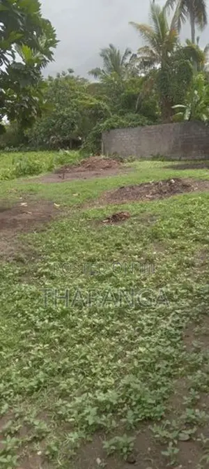 land for sale in a to athidiya