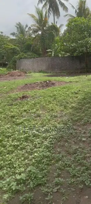 land for sale in a to athidiya