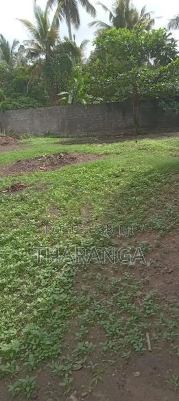 land for sale in a to athidiya
