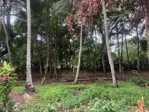 200 Perch Land with a 10 Bedroom House for sale Dehiwala