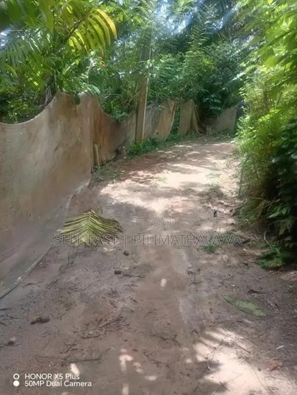 පිළිමතලාව අවටින් වටිනා ඉඩමක්