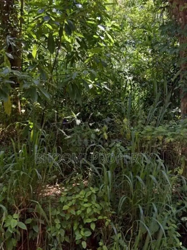 Land for Sale in Aladeniya