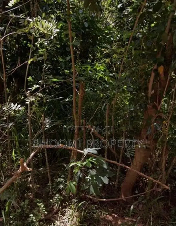 Land for Sale in Aladeniya