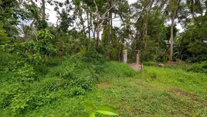 කඩවත වෑබඩින් වටිනා ඉඩමක් විකිණීමට.