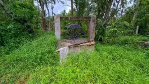 කඩවත වෑබඩින් වටිනා ඉඩමක් විකිණීමට.
